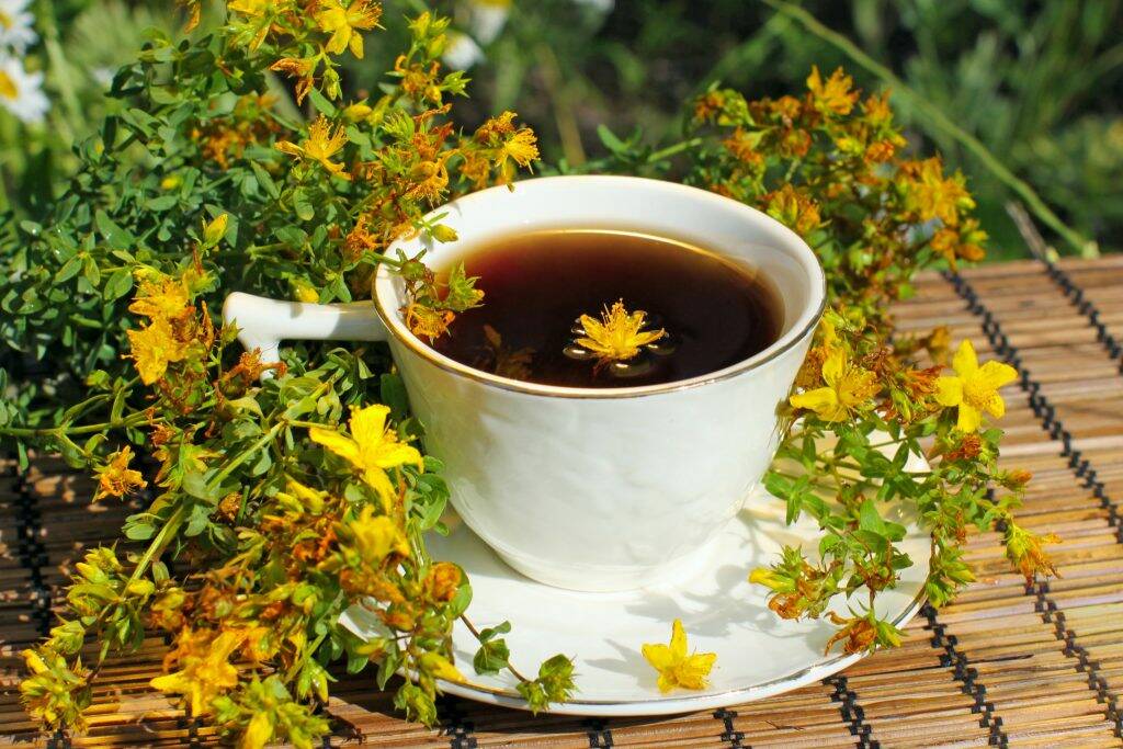 ceaiul de sunatoare slabeste poate slabi te face mai inalt