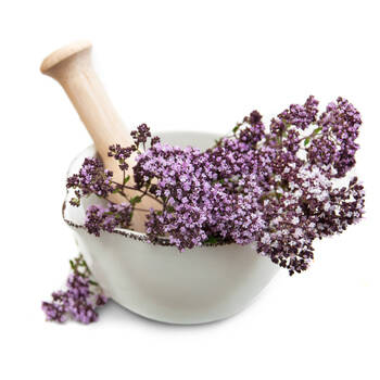 Cimbrișor înflorit Thymus serpyllum